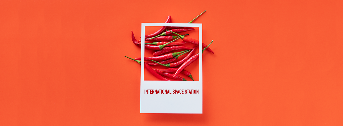 NASA Is Growing Chile Peppers Aboard the ISS