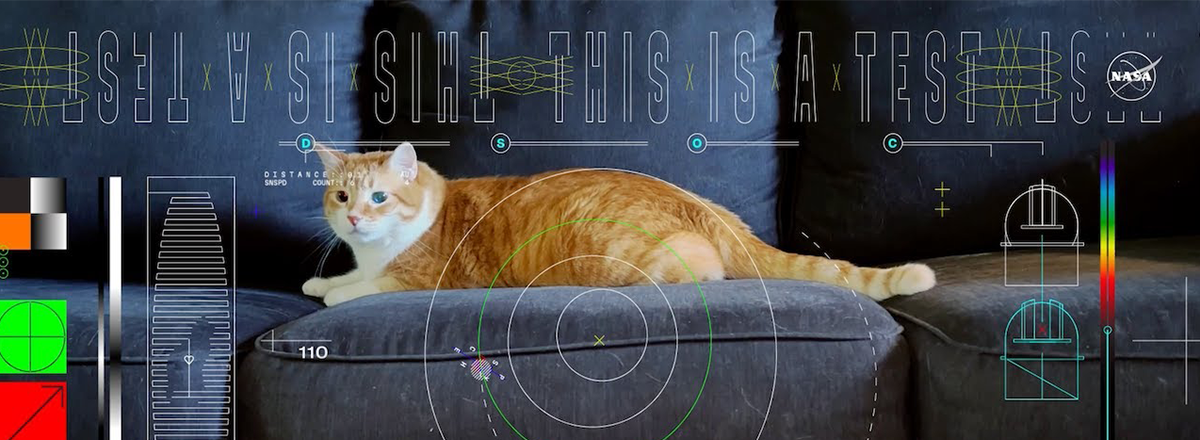 NASA's Laser Communications Experiment Beams Cat Video From Deep Space