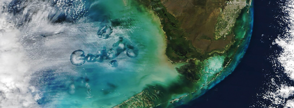 NASA Satellite Captures Unusual Hole-Punch Clouds Off Florida's Coast