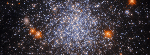 Hubble Captures Stellar Field in Milky Way's Satellite Galaxy