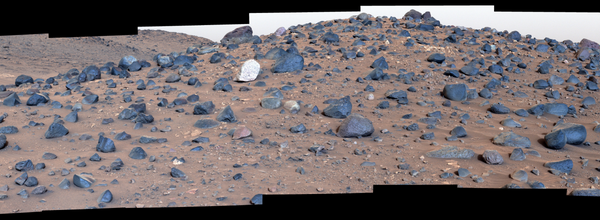 NASA’s Perseverance Rover Discovers Unique Boulder in Ancient Martian Riverbed